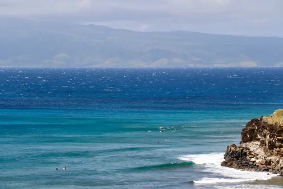 Казомби Казино Поддръжка